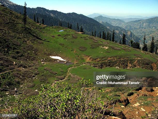Musa Ka Musalla Photos and Premium High Res Pictures - Getty Images