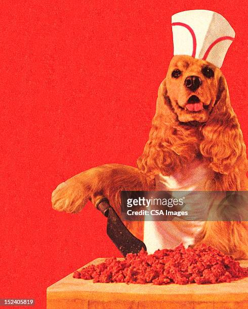 stockillustraties, clipart, cartoons en iconen met dog butcher wearing hat - huisdierenkleding