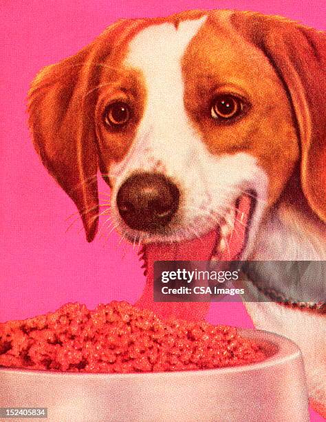 hund essen dog food - hundefutter stock-grafiken, -clipart, -cartoons und -symbole