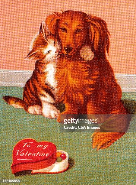 ilustrações, clipart, desenhos animados e ícones de gato e cão de dia dos namorados - animal heart