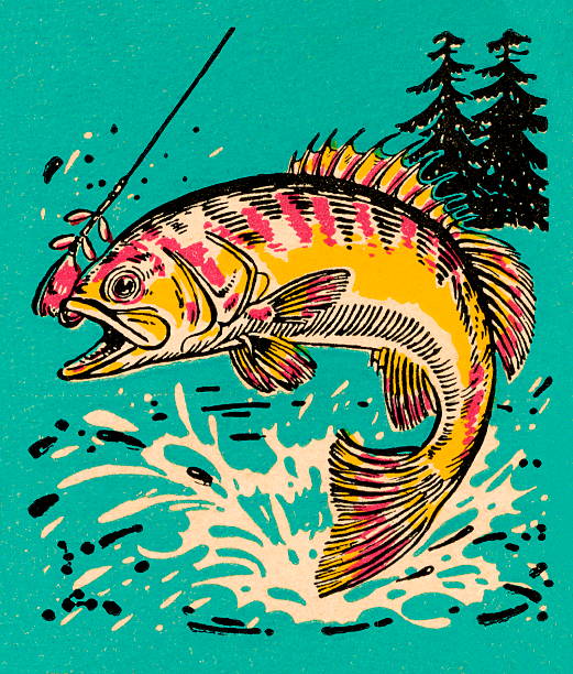 Tree Fish Drawing 14,119 Tree Fish Stock Photos, High-Res Pictures, and Images - Getty Images