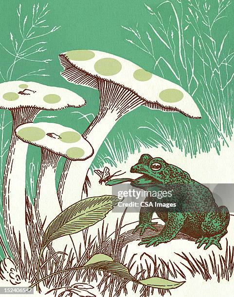 toad under mushrooms - toadstool stock illustrations