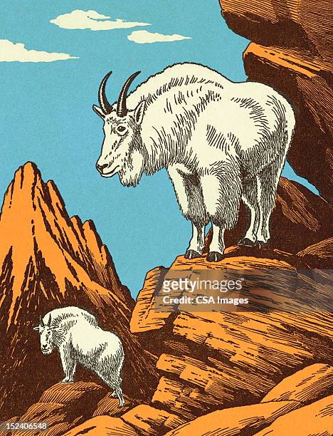 ilustraciones, imágenes clip art, dibujos animados e iconos de stock de mountain goats - cabra montés americana