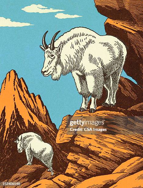 illustrations, cliparts, dessins animés et icônes de chèvres de montagne - chevre animal