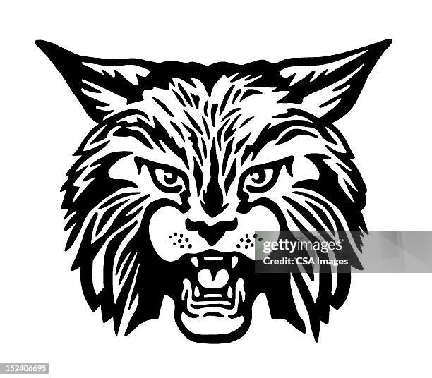 bobcat - mascot stock illustrations