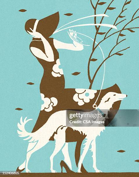 ilustrações, clipart, desenhos animados e ícones de mulher caminhando borzoi cachorro na windy dia - dog bone