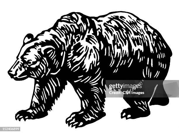 bear - bear stock illustrations