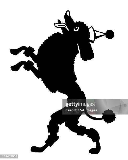 poodle on back legs - poodle stock illustrations