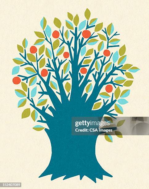 large tree - large tree stock illustrations