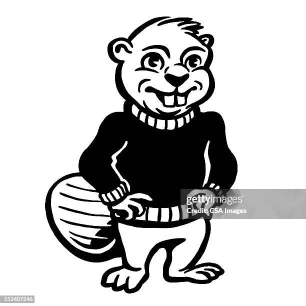 gopher wearing sweater - beaver stock illustrations