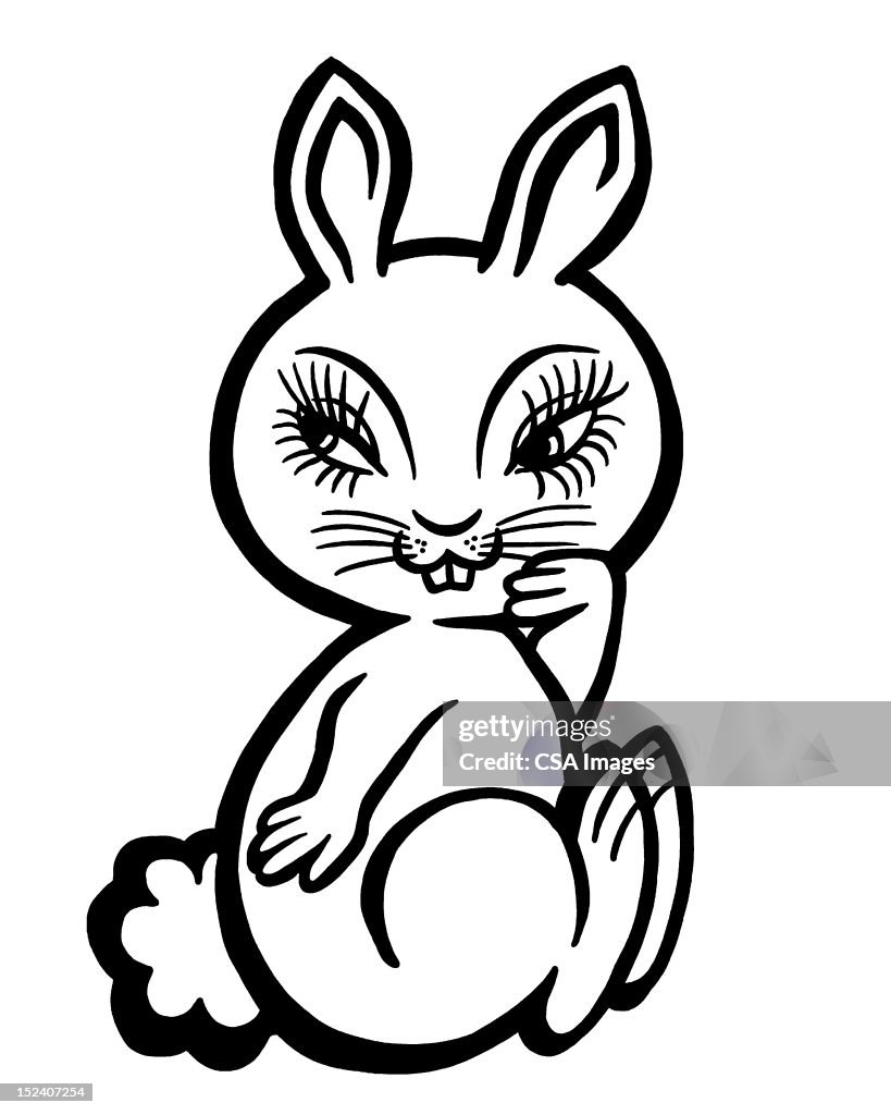 Coy Rabbit Coy Rabbit High-Res Vector Graphic - Getty Images