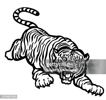Tiger Pouncing Tiger Pouncing