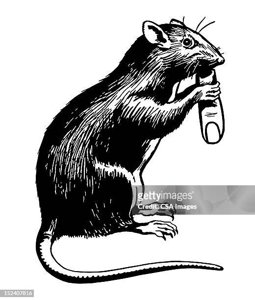 rat holding finger - rat 幅插畫檔、美工圖案、卡通及圖標