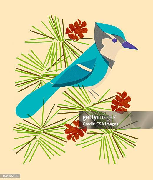 blue jay sitting on branch - blue jay stock illustrations