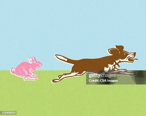 92 Dog Chasing Rabbit Stock Photos, High-Res Pictures, and Images ...