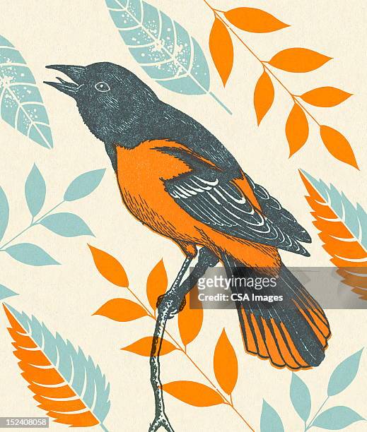 ilustrações, clipart, desenhos animados e ícones de pássaros na árvore - papafigo