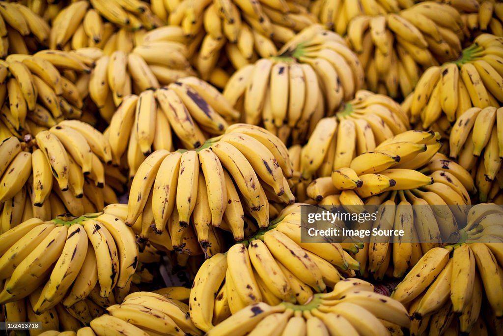 Bananas