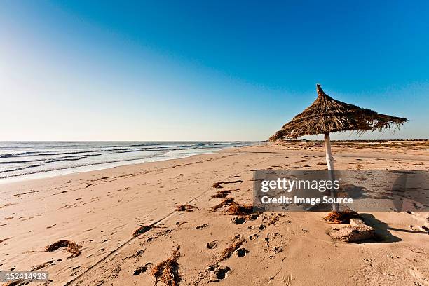 parasol on beach on island of djerba, tunisia - tunisia beach stock pictures, royalty-free photos & images