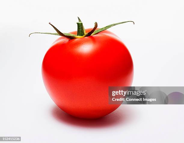 red tomato - single object plain background stock pictures, royalty-free photos & images