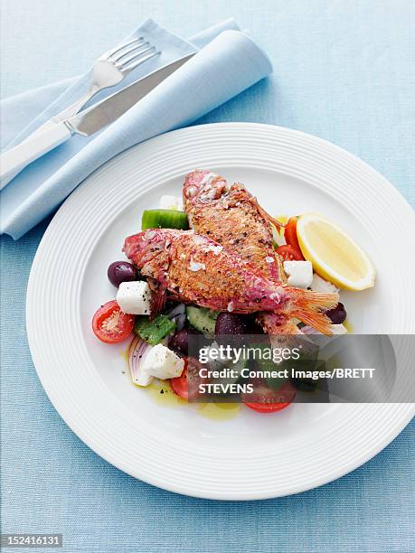 plate of meat with vegetables - greek salad stock pictures, royalty-free photos & images