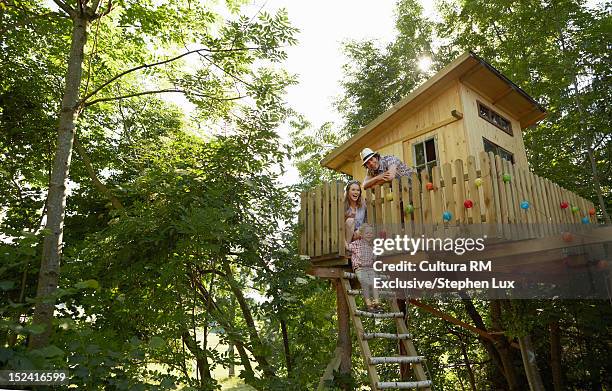 family playing in tree house - tree house bildbanksfoton och bilder