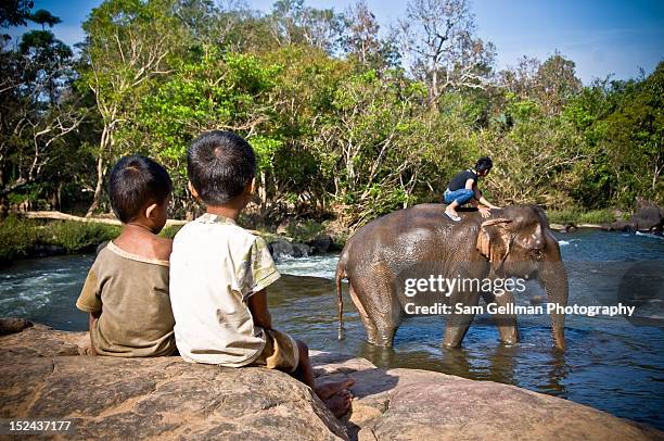 Sam Handler Tv 2,213 Sam Handler Stock Photos, High-Res Pictures, and Images - Getty ...