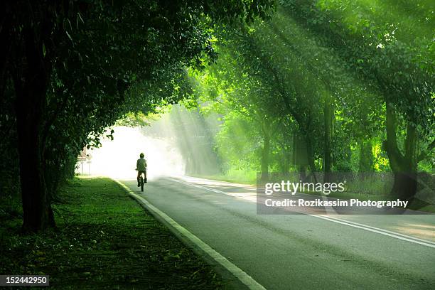 man cycling - grünstreifen stock-fotos und bilder