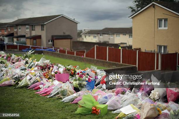 Floral tributes cover a grass verge near to the scene where PC Nicola Hughes and PC Fiona Bone were murdered earlier this week in Mottram on...