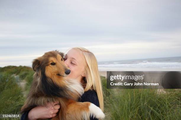 girl ( 14-16) training dog on beach - collie stock pictures, royalty-free photos & images