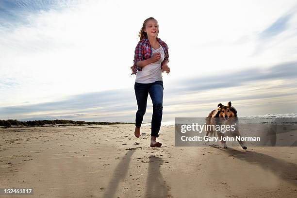 girl ( 14-16) training dog on beach - young teen girl beach foto e immagini stock