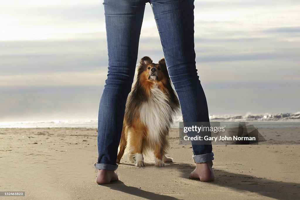 Girl ( 14-16) training dog on beach