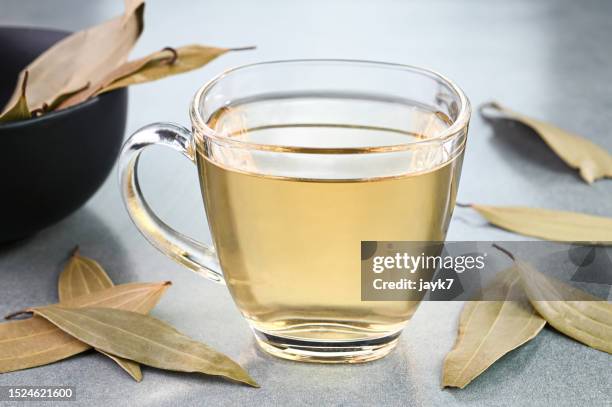 bay leaves water - bayleaf stockfoto's en -beelden