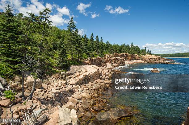 acadia national park - bar harbor beach stock pictures, royalty-free photos & images