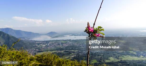 aerial view of the city - indian road stock pictures, royalty-free photos & images