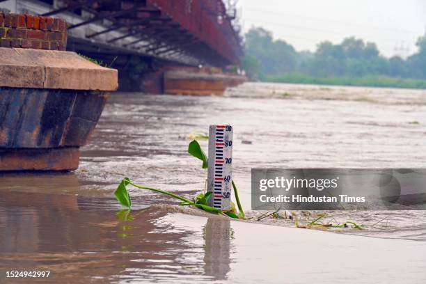 The swollen Yamuna river flows in full spate under the Old Yamuna Bridge on July 11, 2023 in New Delhi, India.