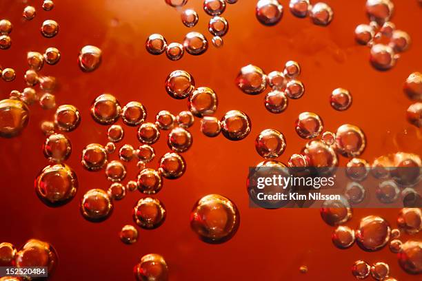 fizzy - carbonated drink stock pictures, royalty-free photos & images