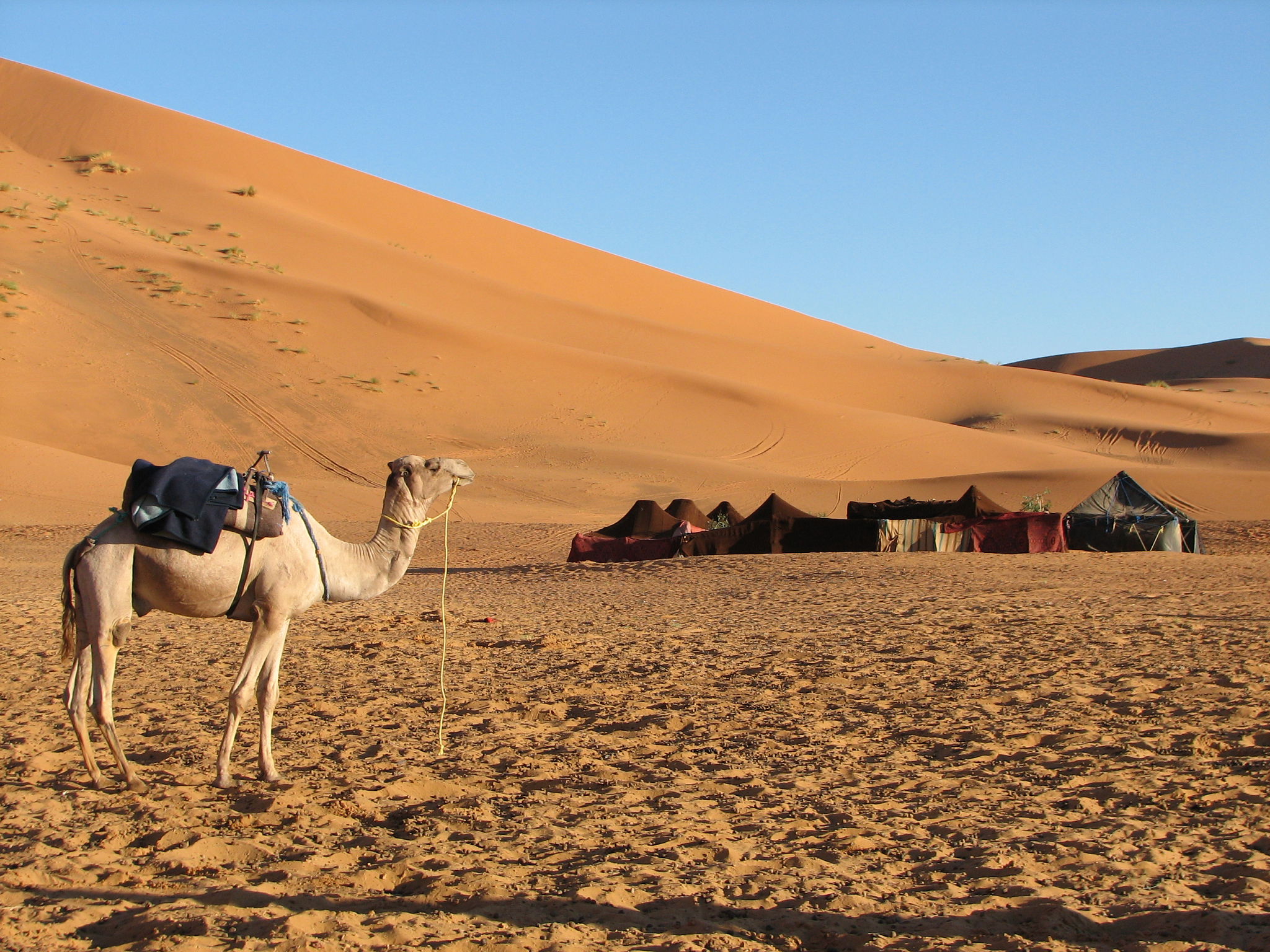 desert camp
