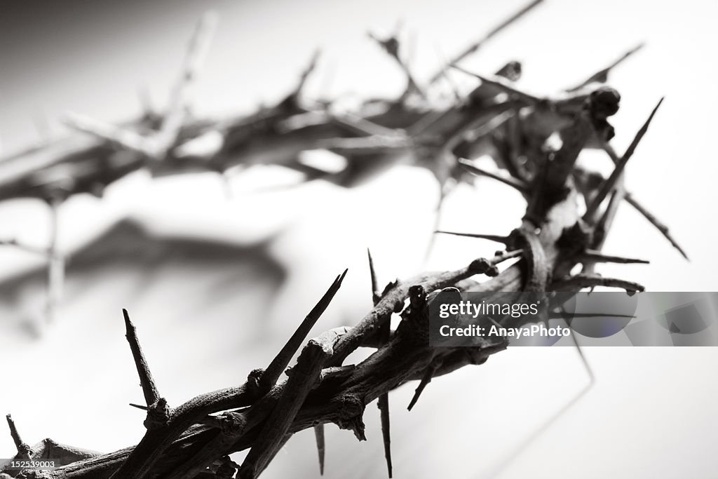 Crown of Thorns