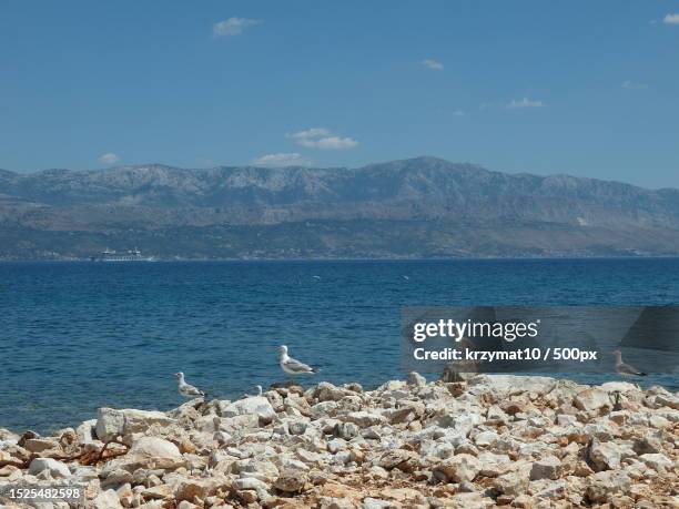 Mirca Morera 95 Mirca Stock Photos, High-Res Pictures, and Images - Getty Images