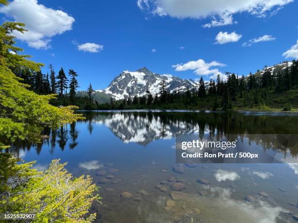 scenic view of lake by trees against sky,whatcom county,washington,united states,usa - lake whatcom bildbanksfoton och bilder