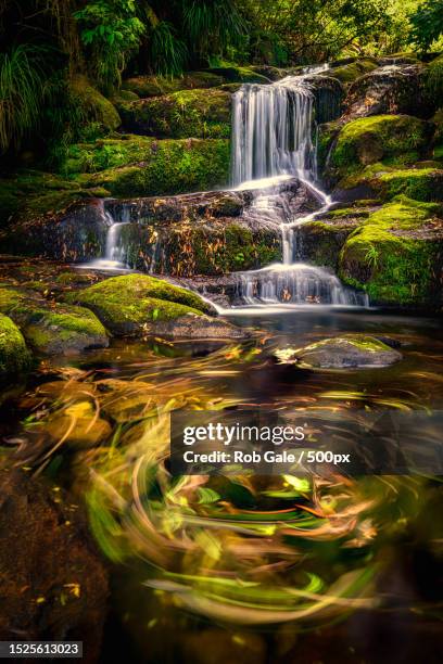 Kaimai Rivers 22 Kaimai Range Stock Photos, High-Res Pictures, and Images - Getty Images