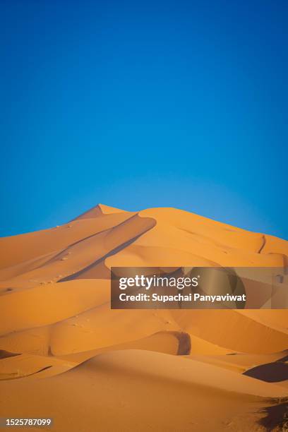 vertical photo of beautiful curve sand dune in sahara, merzouga, morocco - erg chebbi desert stock pictures, royalty-free photos & images