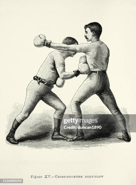 Positions In Boxing 585 Boxer Cross Stock Photos, High-Res Pictures, and Images - Getty Images