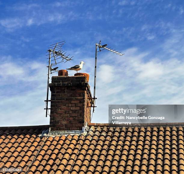 aerial antenna on top of a  brick chimney - aerial view of manchester stock pictures, royalty-free photos & images