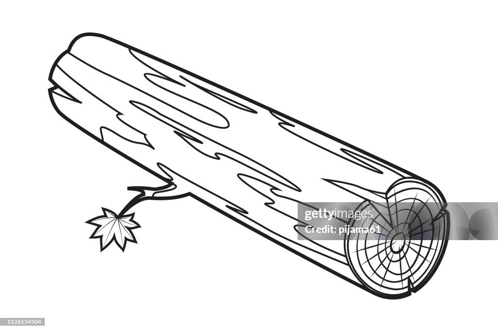 Vector illustration of a children's activity coloring book page with pictures of log wood