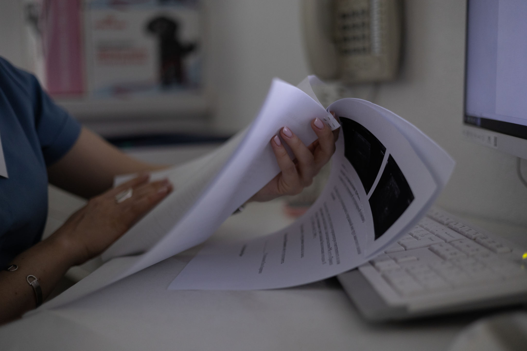 análise documentos