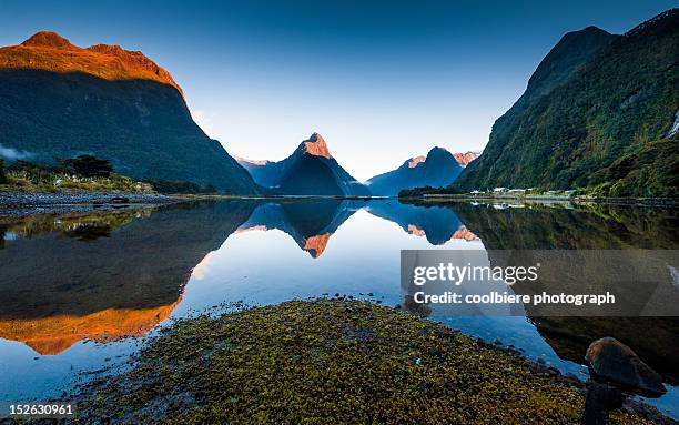 morning view of milford sound with reflection - fjord milford sound stock-fotos und bilder