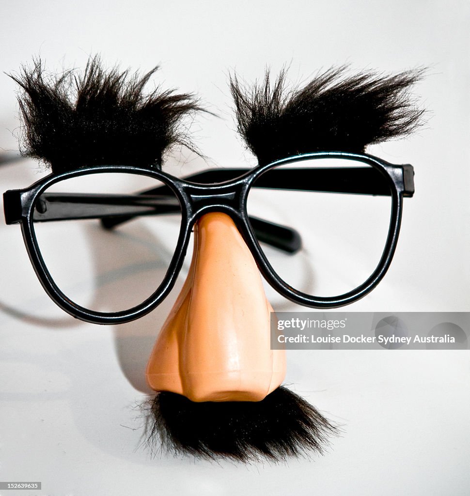 Groucho marx glasses