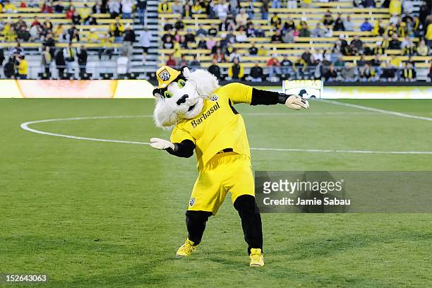 Crew Cat, mascot for the Columbus Crew, fires up the crowd before a game against Chivas USA on September 19, 2012 at Crew Stadium in Columbus, Ohio.