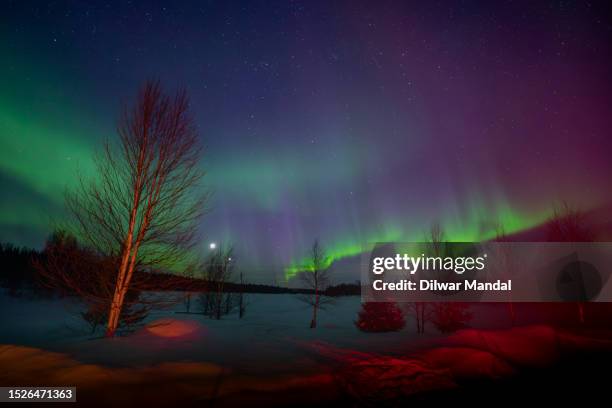 enchanting dance of the northern lights in luosto, lapland - northern lights michigan stockfoto's en -beelden